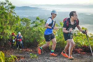 BIB: 
                            <button type="button" onclick="openModal(21876195)" class="btn btn-primary btn-sm float-right btn-popup" data-toggle="modal" data-target=".modal-high-quality">
                        <i class="fas fa-shopping-cart"></i> Add to Cart
                    </button>
                                            <button type="button" onclick="isThisMe(21876195, true)" class="btn btn-success btn-sm float-right btn-popup btn-isme hidden" data-toggle="tooltip" data-placement="bottom" title="นี่คือรูปของคุณใช่ไหม คลิกที่นี่เพื่อเอาเข้าอัลบั้ม">
                        <i class="fas fa-plus"></i> Add to album
                    </button>
                    <button type="button" onclick="isThisMe(21876195, false)" class="btn btn-warning btn-sm float-right btn-popup btn-isnotme hidden">
                        <i class="fas fa-ban"></i> Remove from album
                    </button>